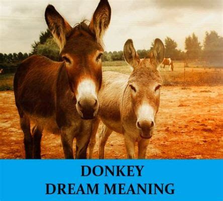 “The Donkey That Flew” - A Tale of Transformation, Ambition, and Unlikely Heroes